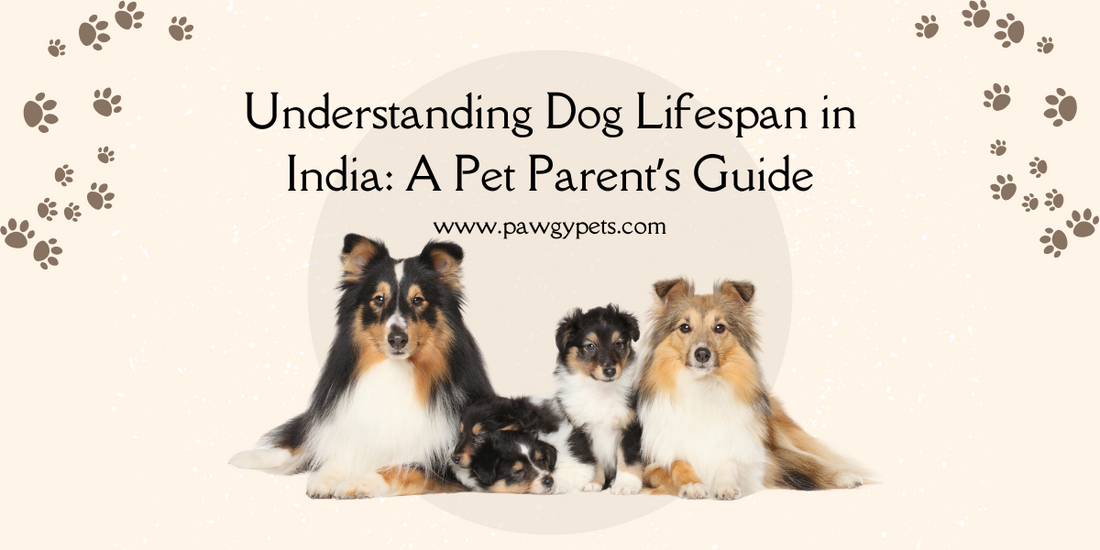 Dog Lifespan in India