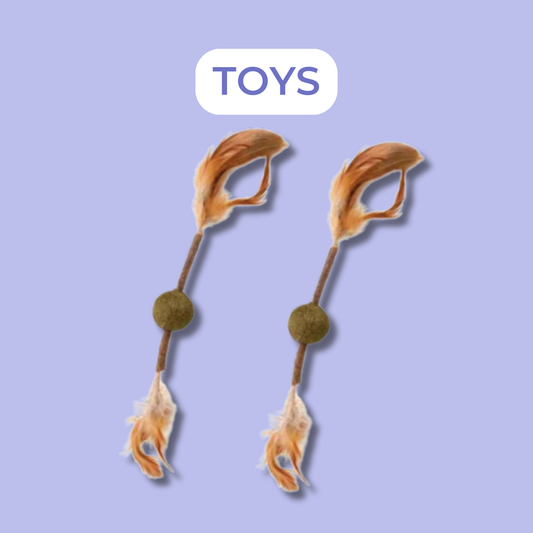 Cat Toys