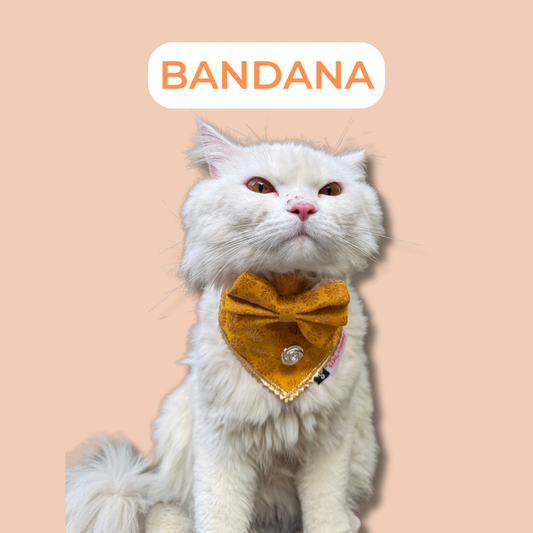 Cat Bandana