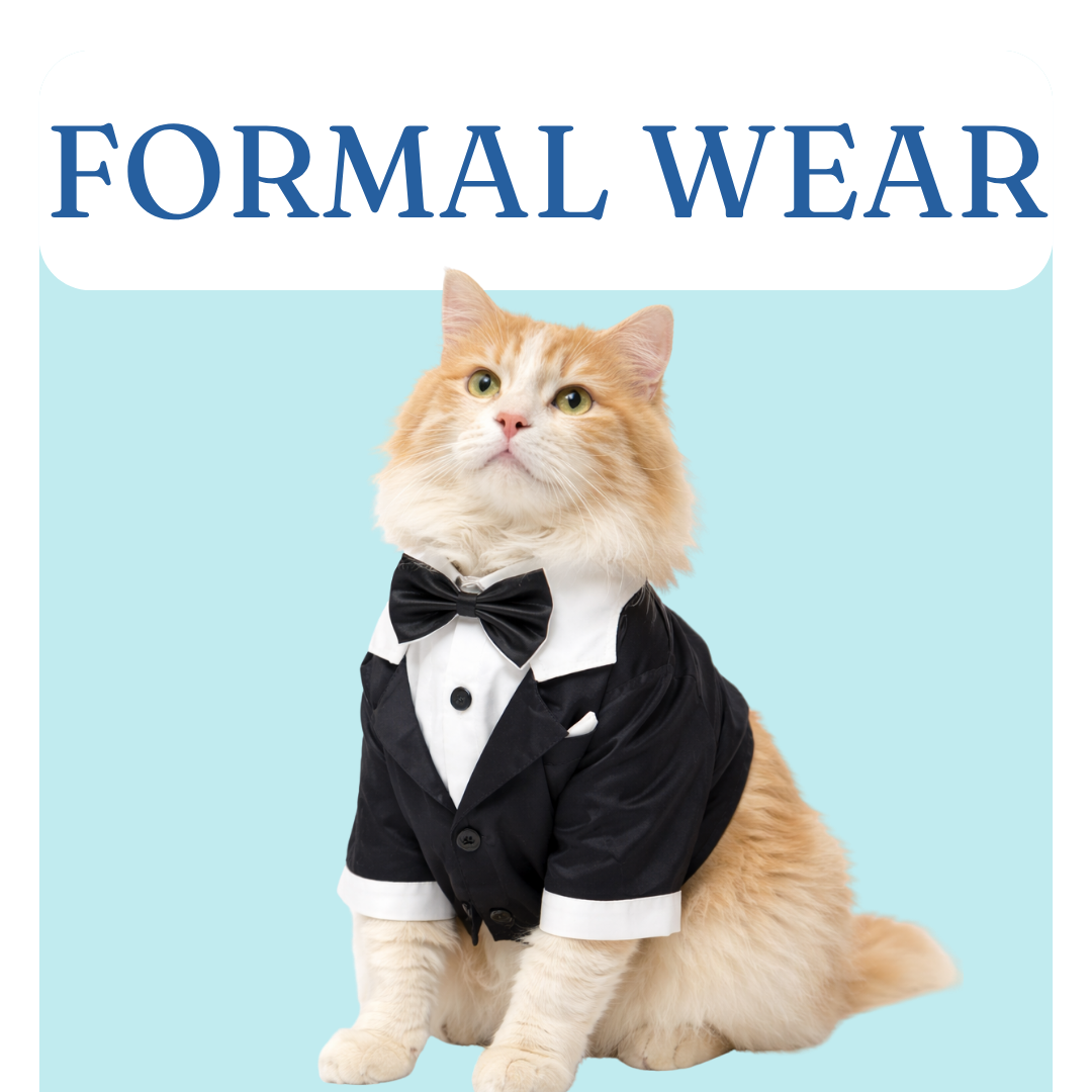 Formal Apparel Cat  Pawgy Pets