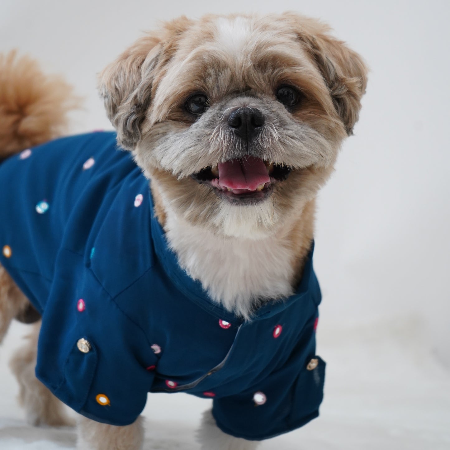 Peacock Blue Festive Shirt | For Dogs | Pawgy Pets