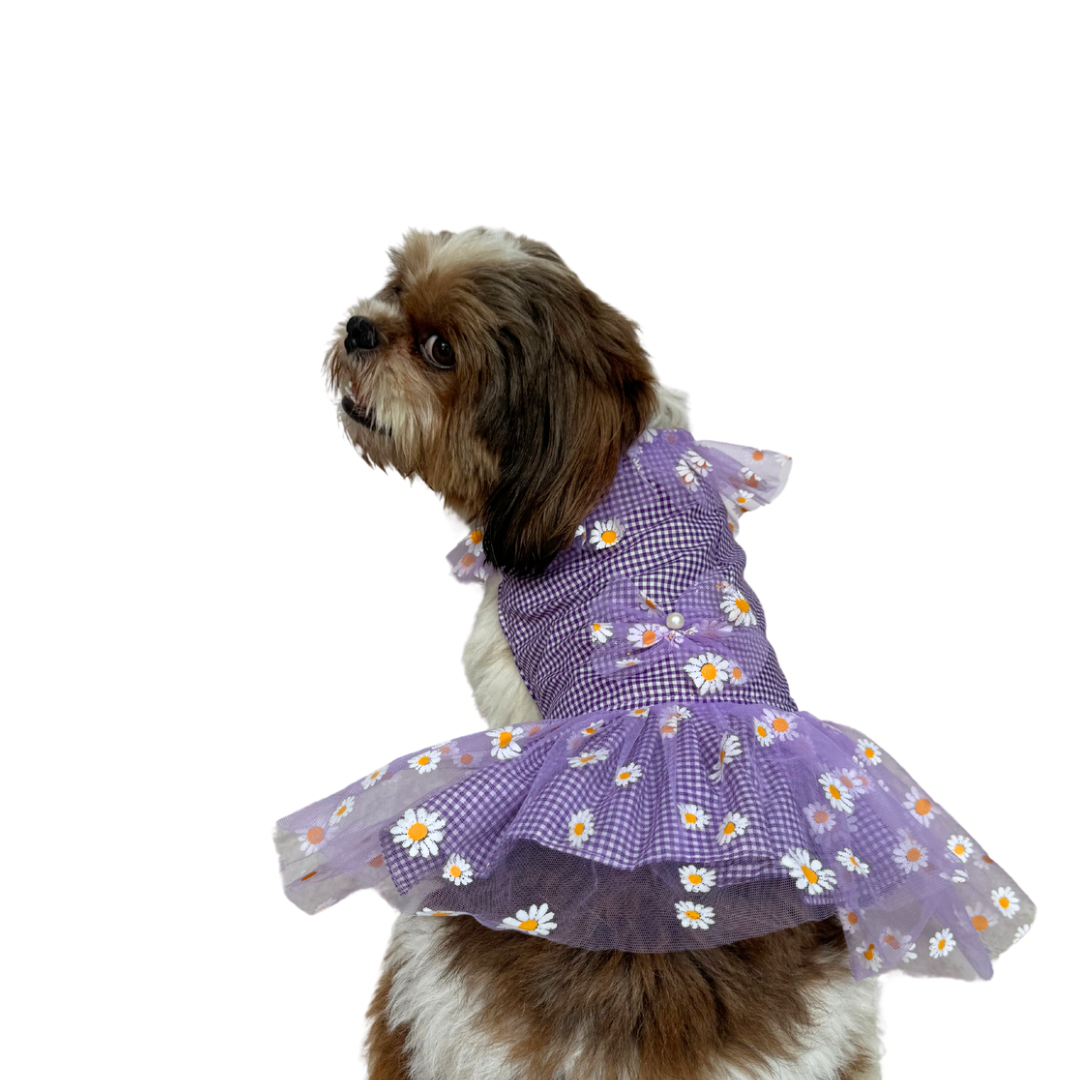 blue dress for baby girl Bling Black Dog Dress | Wedding | Poshdoglife.com main image 0