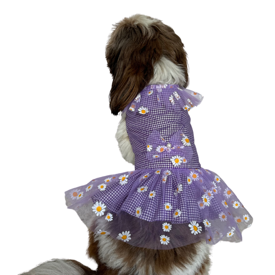 Purple Frilly Check Dress | For Dogs | Pawgy Pets