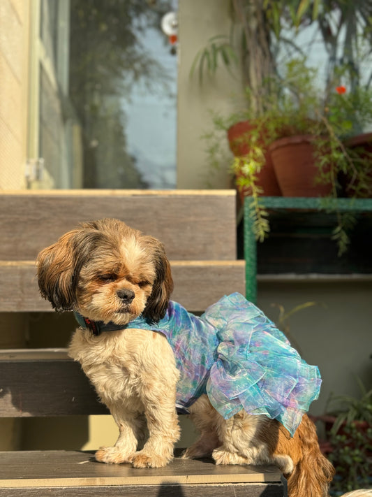 Pawgy Pets Frilly Dress Blue for Dogs