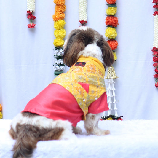 Pawgy Pets Kurta Koti Peach & Yellow for Dogs