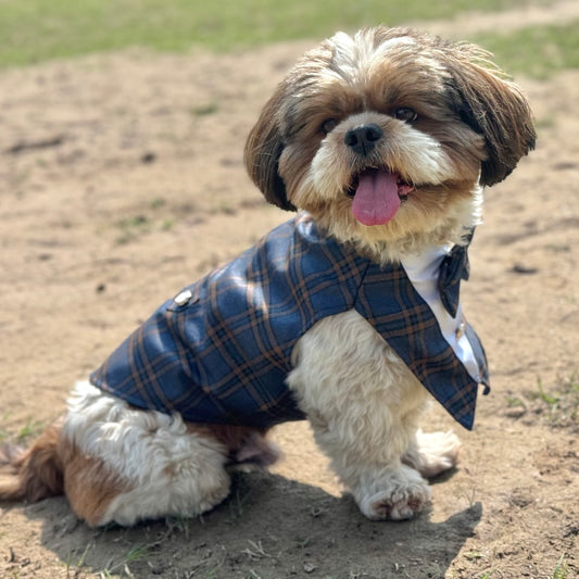 Luxe by Pawgy Pets Navy Blue Check  Bowtie Tuxedo