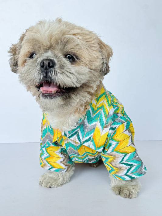 Pack of 2 - Dog Kurtas: Zig-Zag Green & Purple Lehriya