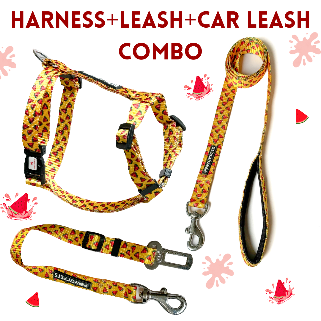 Yellow Watermelon | H-Harness, Leash & Car Leash Combo for Dogs and Cats | Pawgy Pets