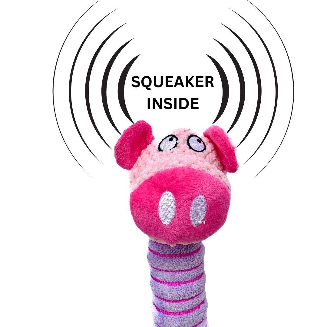 Pawgy Pets Long Neck Piggy Dog Plush Toy