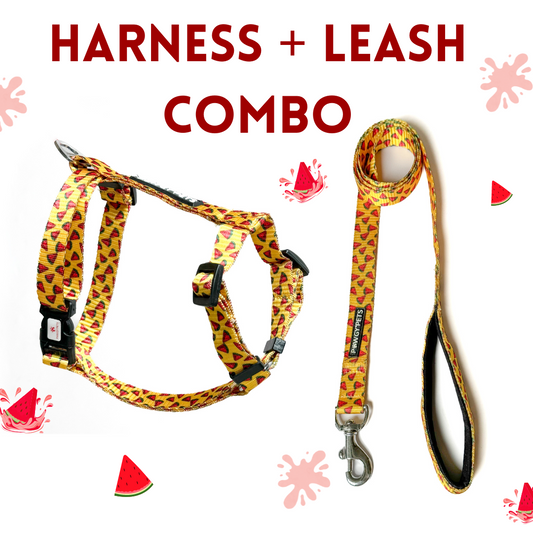 Pawgy Pets H- Harness & Leash Combo: Yellow Watermelon for Dogs and Cats