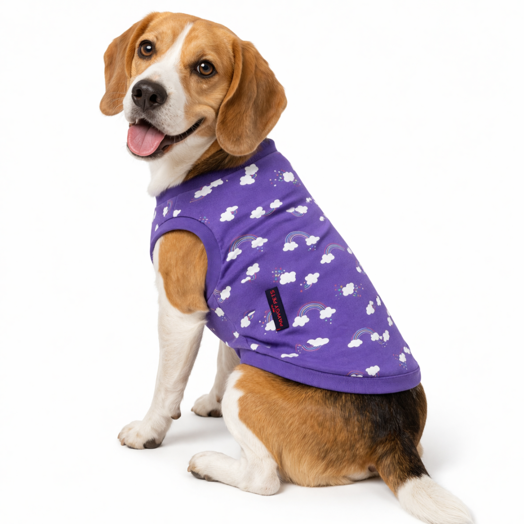 Rainbow T-shirt | Purple | For Dogs | Pawgy Pets