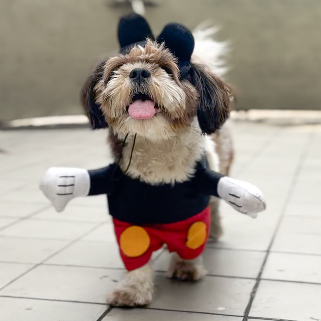 Dog mickey mouse costume hotsell