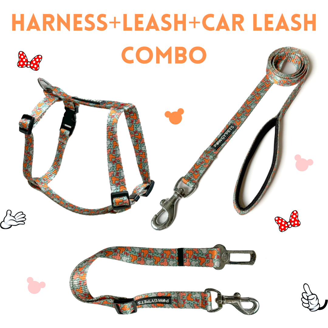 Mickey Pastel Green | H-Harness, Leash & Car Leash Combo for Dogs and Cats | Pawgy Pets
