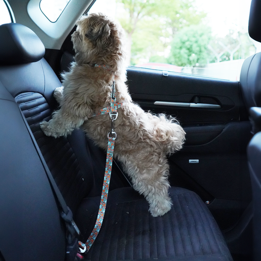 Pawgy Pets Car Leash Mickey Pastel Green for Dogs and Cats