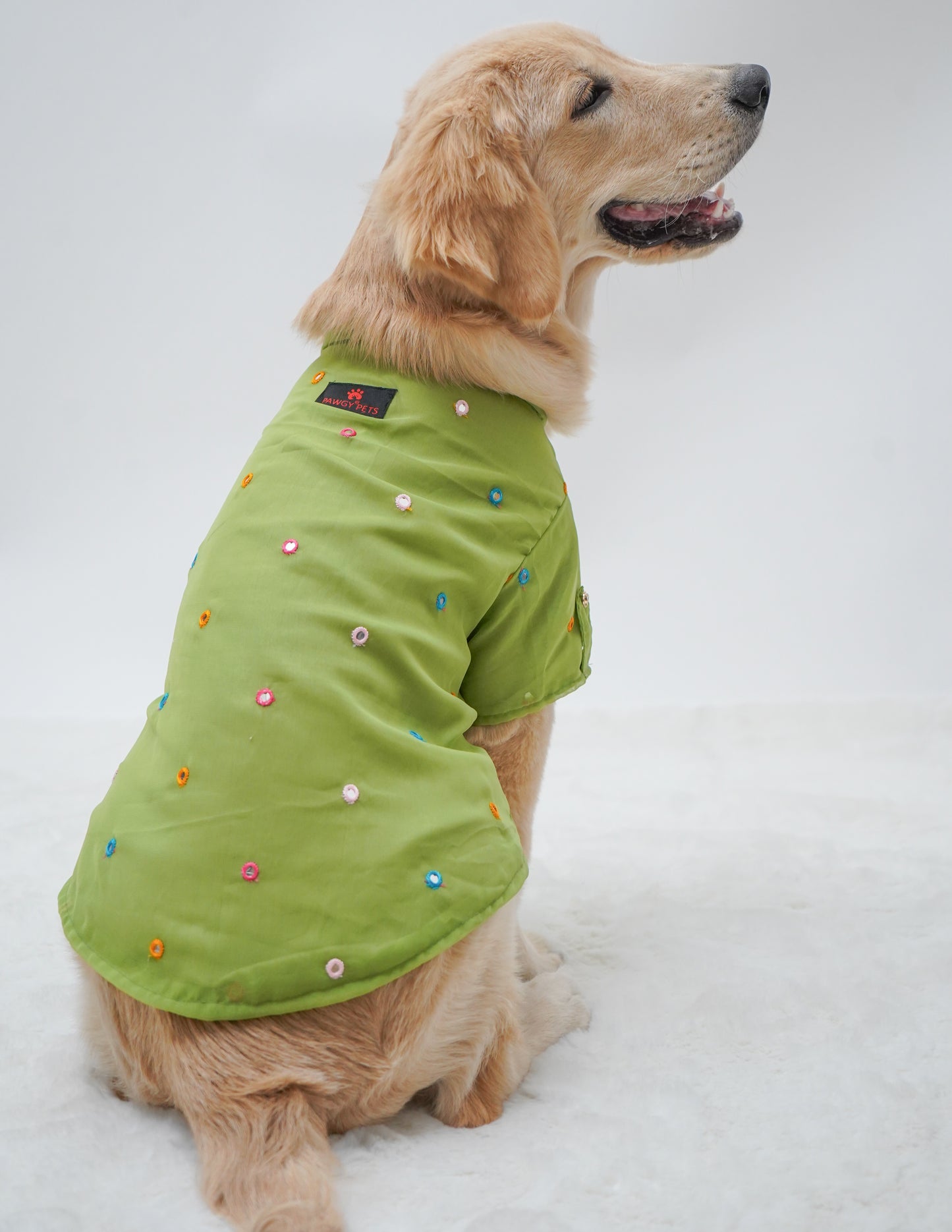 Pista Green Festive Shirt | For Dogs | Pawgy Pets
