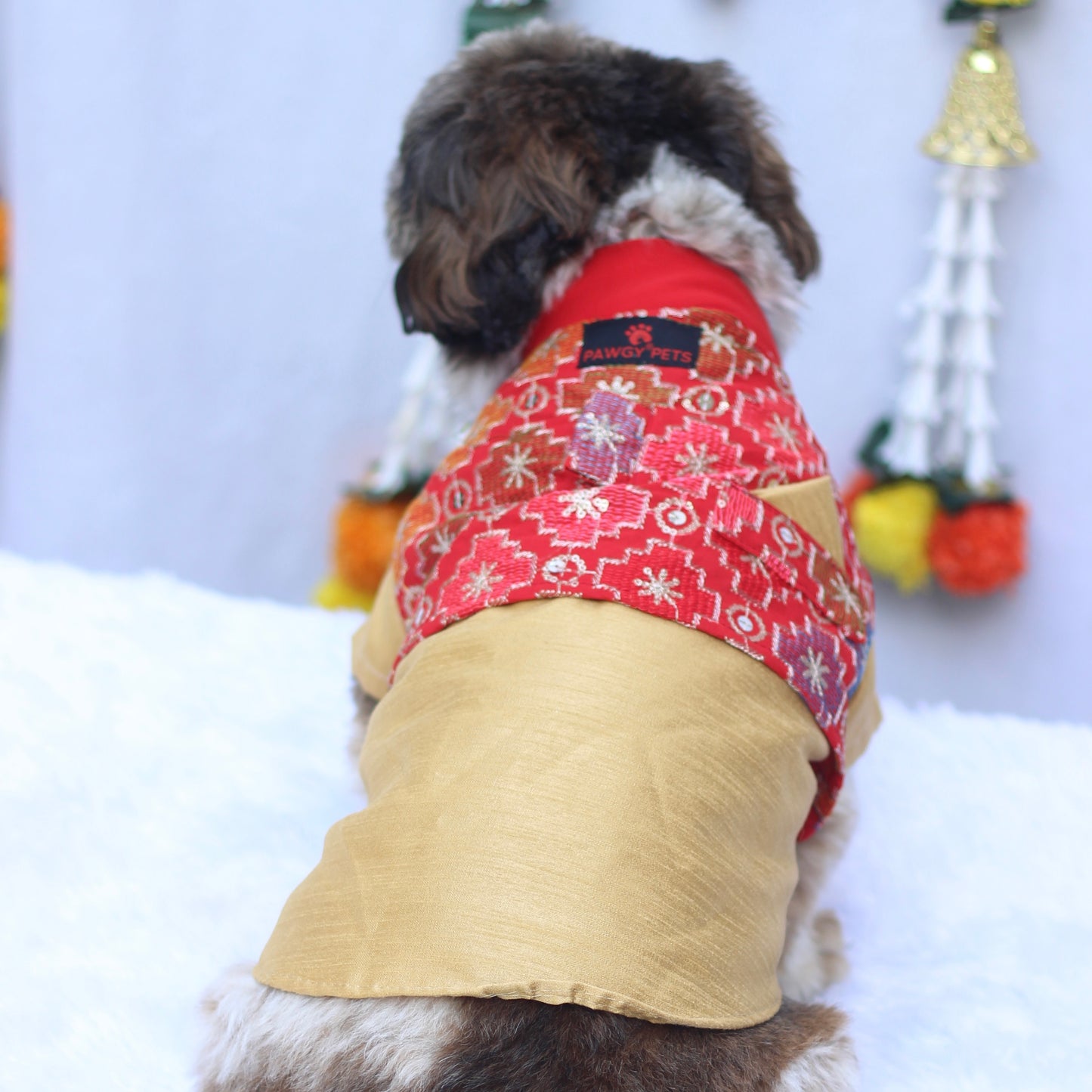 Mehfil Kurti for Women + Doggo Koti Kurta