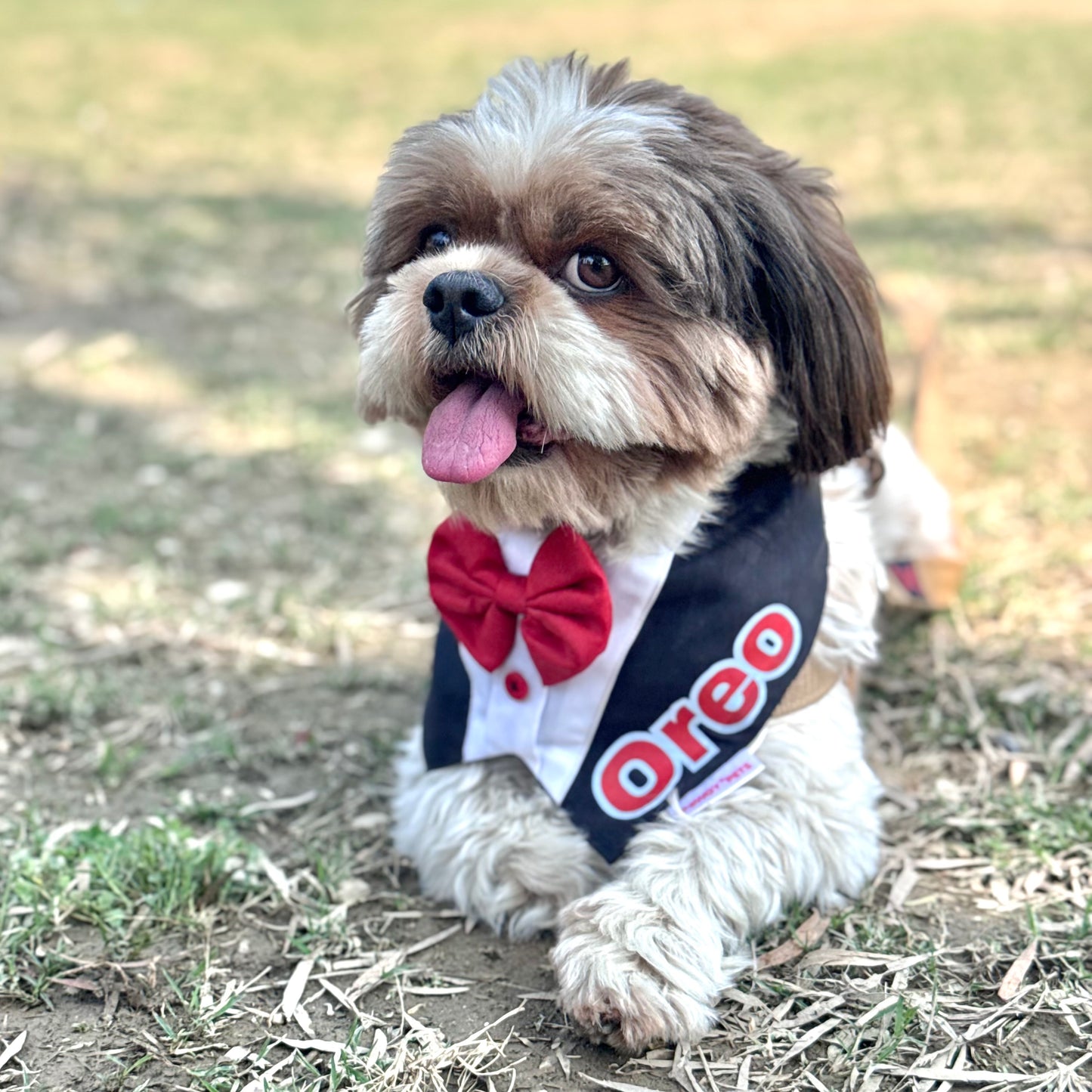 Pawgy Pets Personalised Formal Tux Bandana: Black for Dogs & Cats