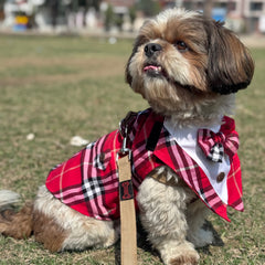 Pawgy Pets Red Check Bowtie Tuxedo
