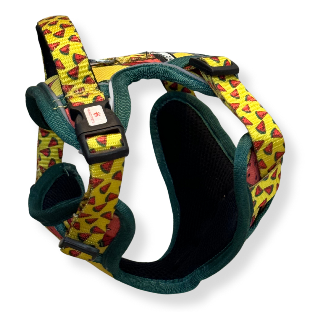 Watermelon | Padded Harness for Dogs and Cats | Pawgy Pets