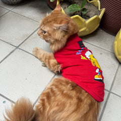 Pawgy Pets T-shirt for Cats