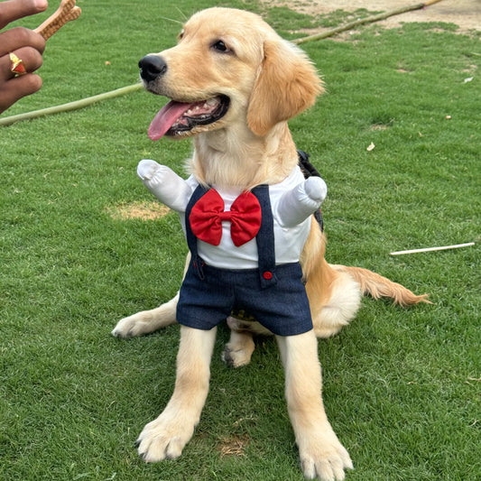 Pawgy Pets Dungaree Dog Costume