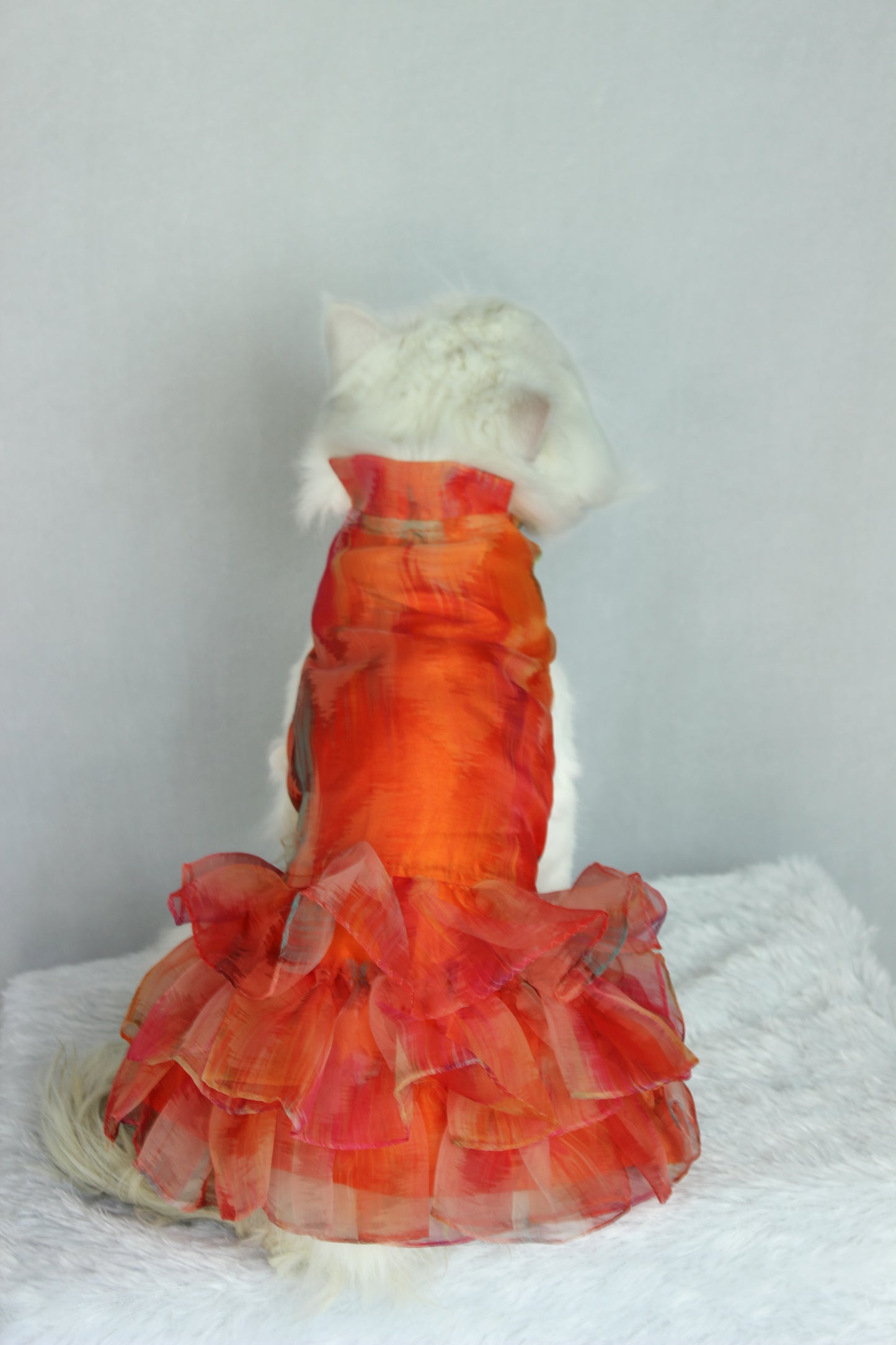 Pawgy Pets Frilly dress Orange (Cat)