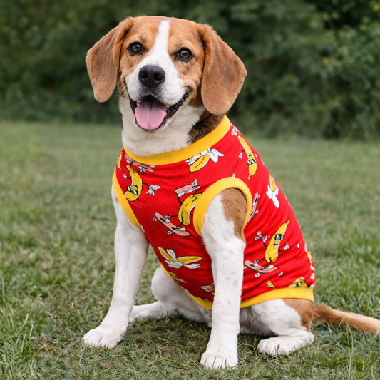 Banana T-shirt | Red | For Dogs | Pawgy Pets