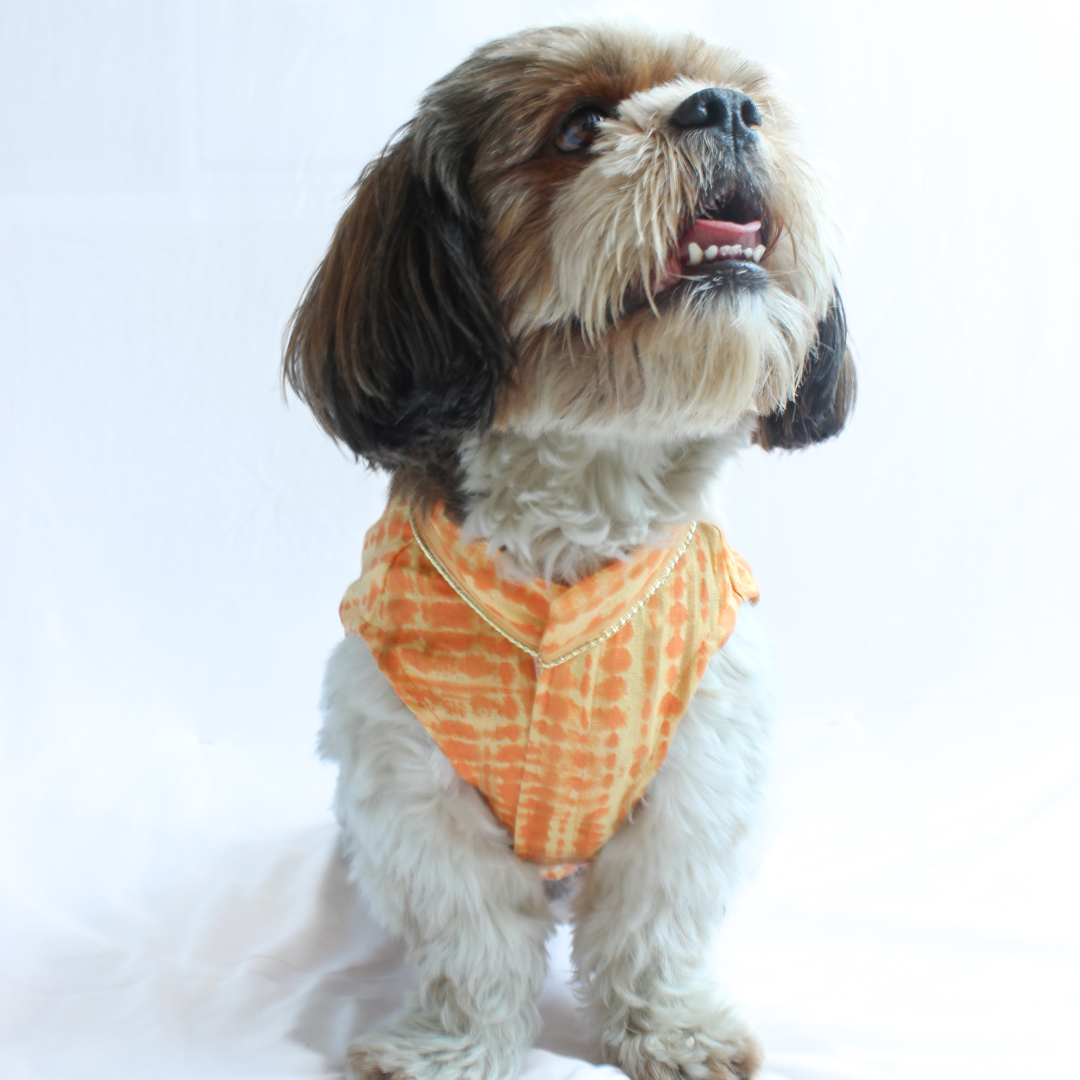 Yellow Orange Tie & Dye Kurta | For Dogs | Pawgy Pets
