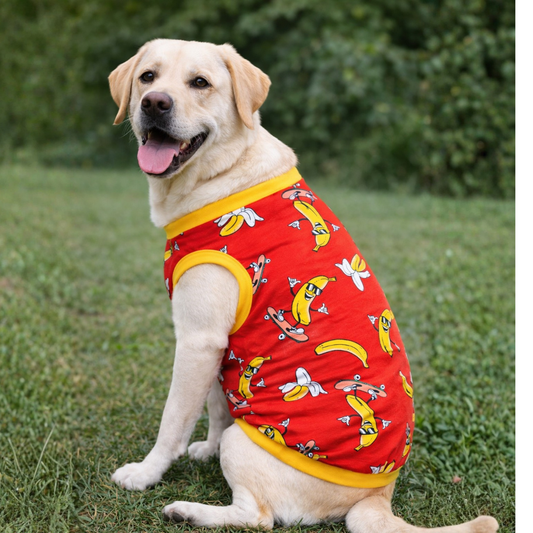 Banana T-shirt | Red | For Dogs | Pawgy Pets