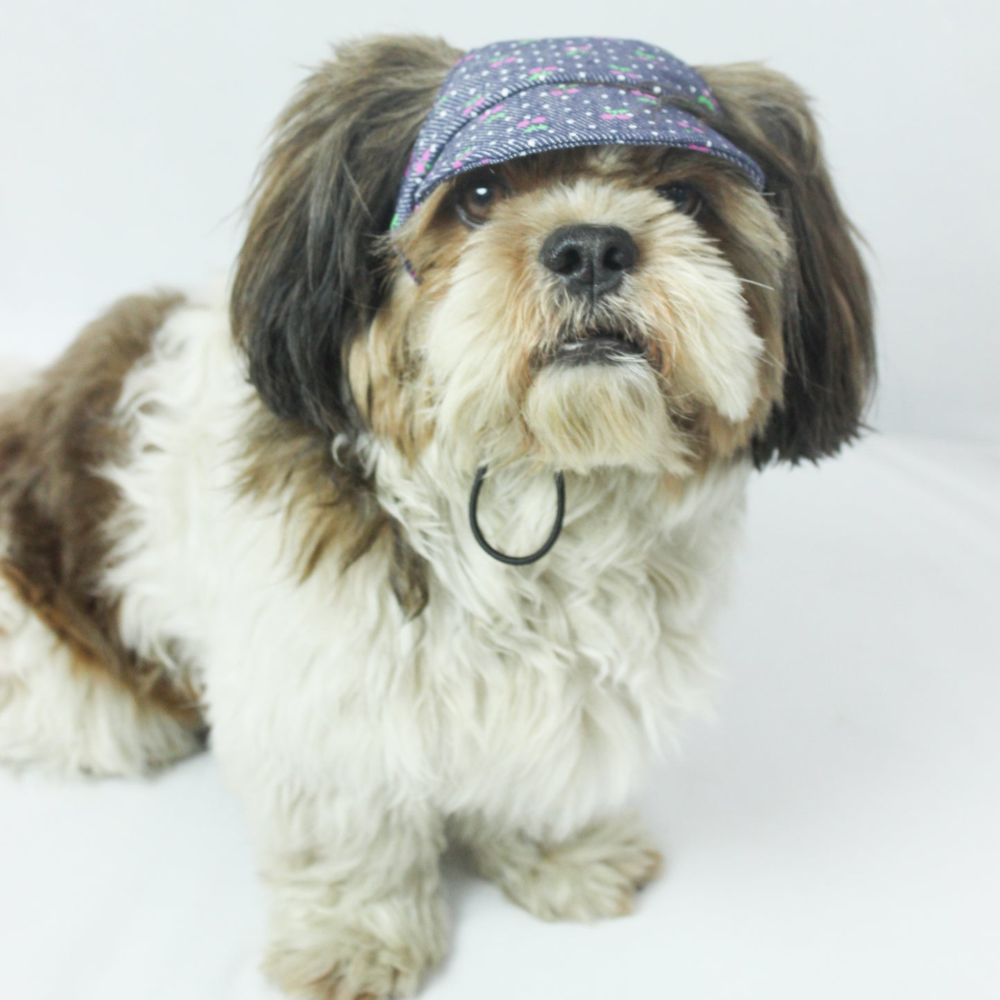 Denim Cherry Cap | For Dogs | Pawgy Pets