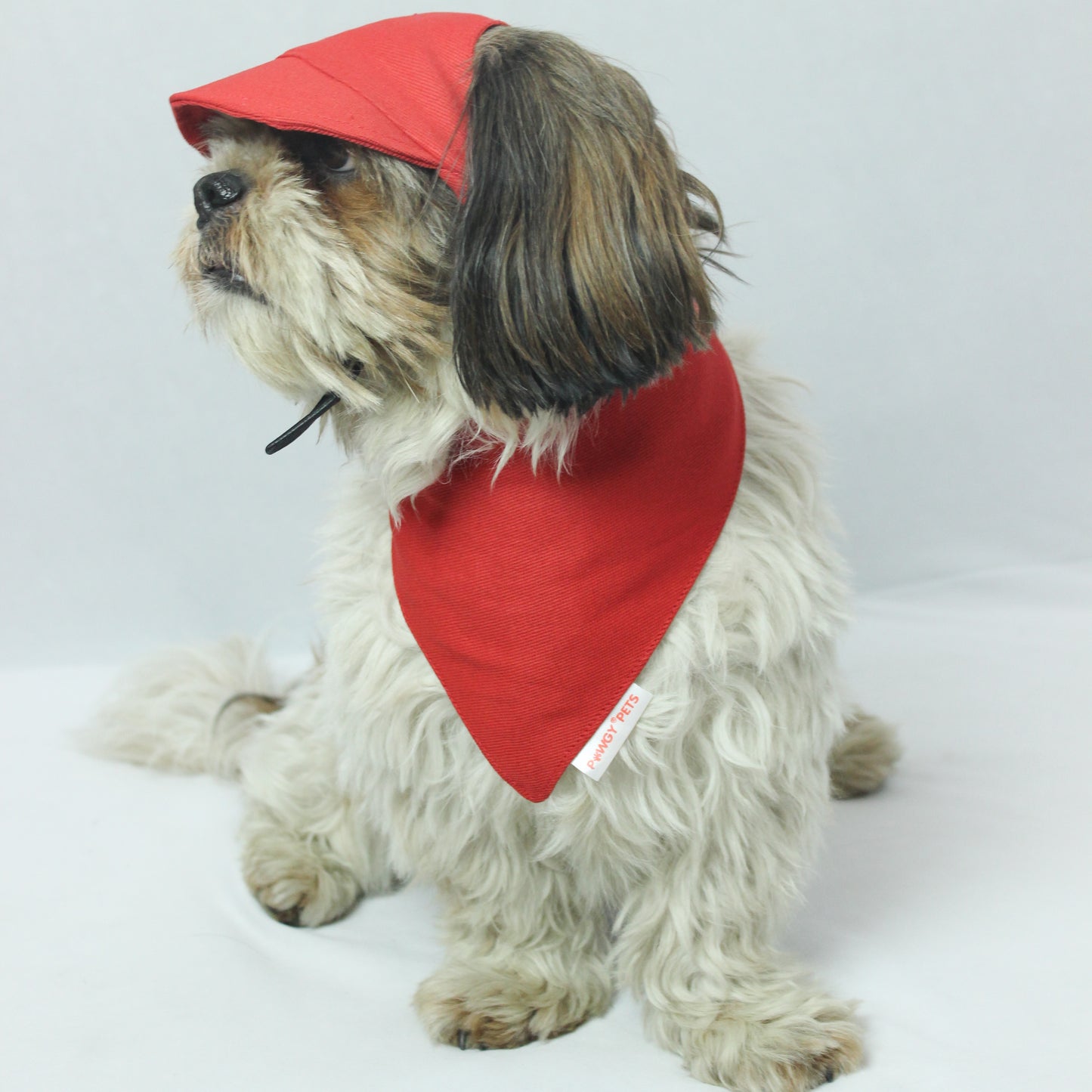 Pawgy Pets DIY Bandana: Red