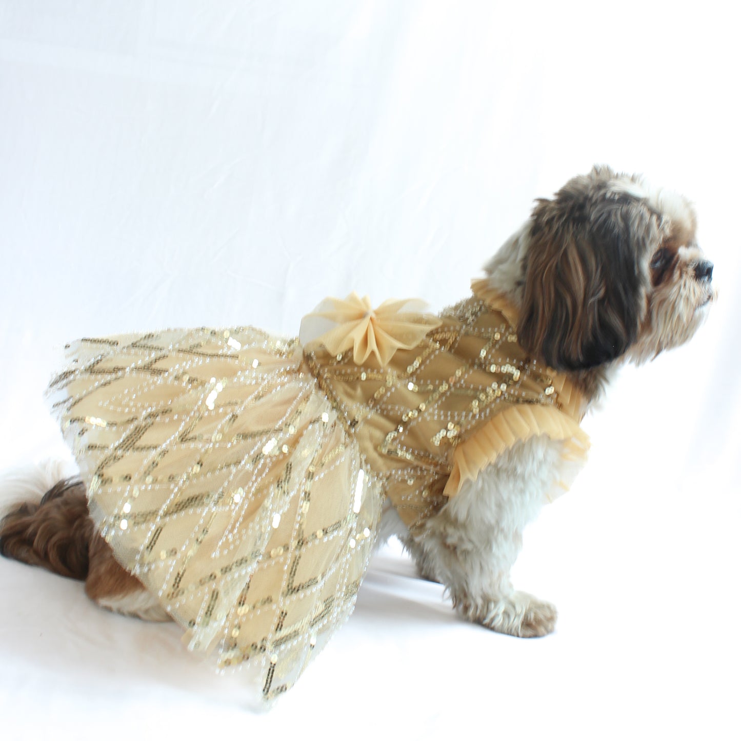 Golden Tutu Dress | Luxe Collection | Pawgy Pets