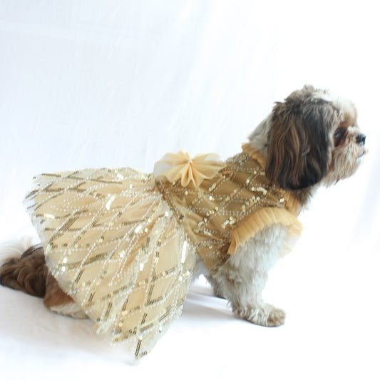 Pawgy Pets Tutu Dress Golden for Dogs and Cats