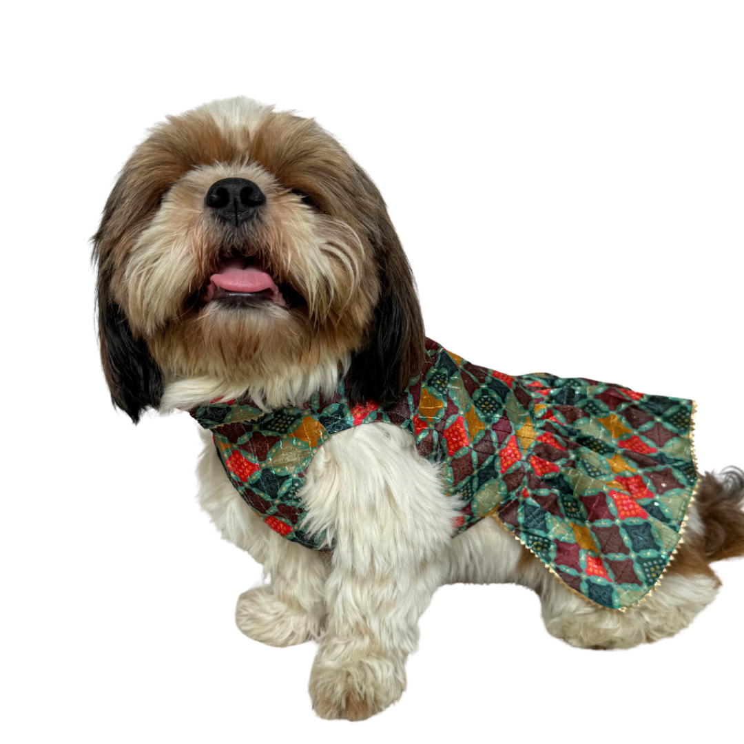 Multi Colour Silk Dress | For Dogs | Pawgy Pets