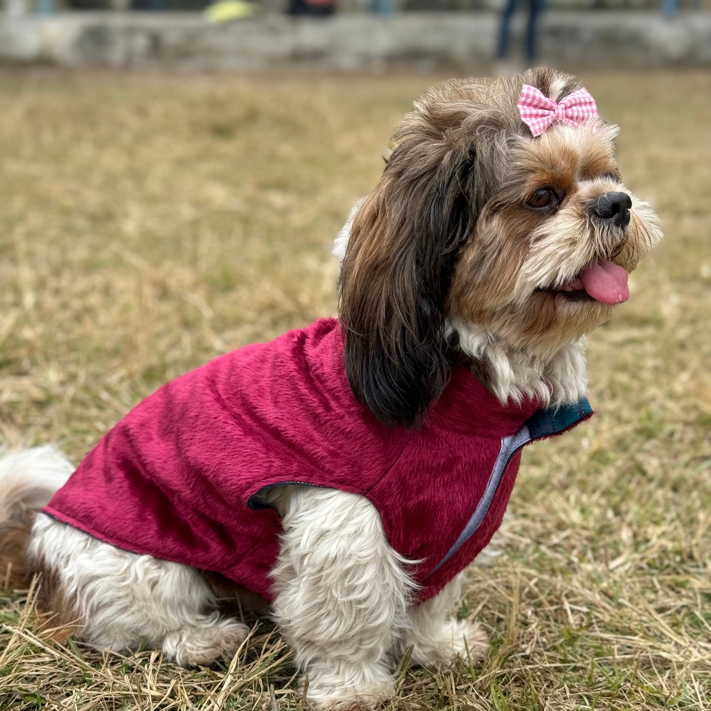 Plaid & Maroon Reversible Sando | For Dogs & Cats | Pawgy Pets