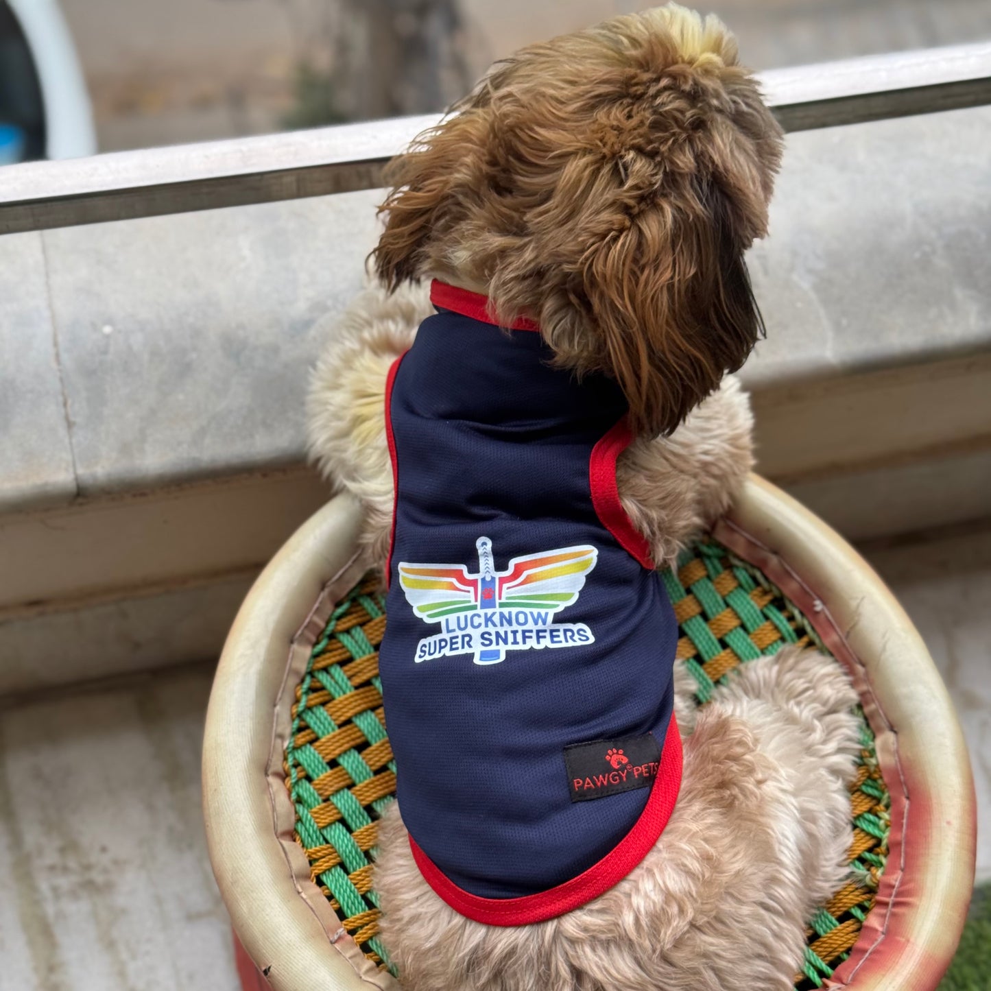 Lucknow Super-Sniffers T-shirt | For Dogs & Cats | Pawgy Pets