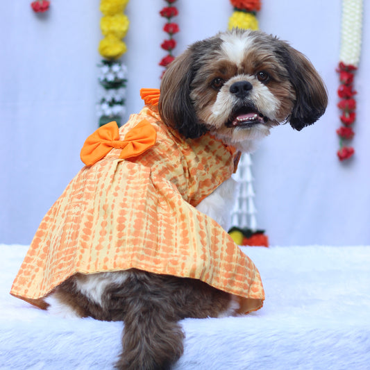 Pawgy Pets Tie and Die Orange-Yellow Dress for Dogs