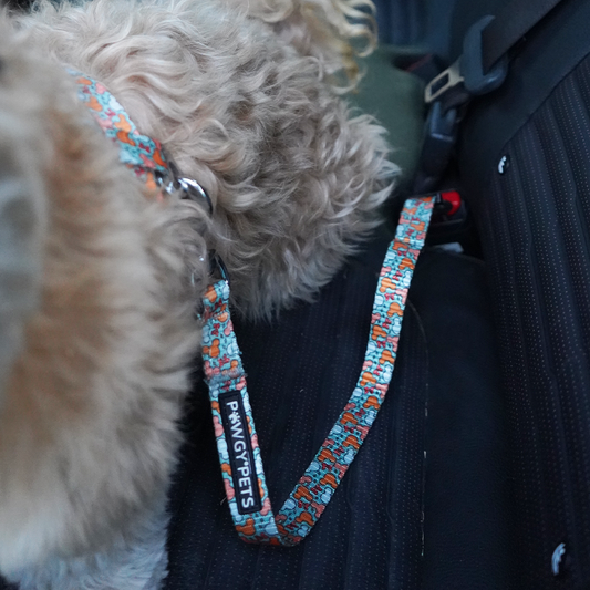 Pawgy Pets Car Leash Mickey Pastel Green for Dogs and Cats