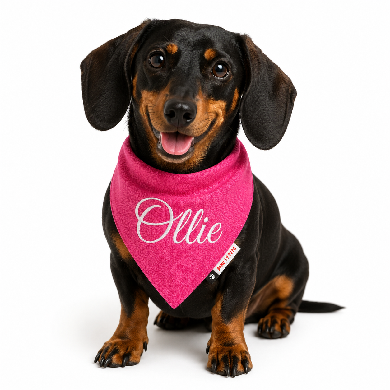 Hot Pink Bandana | Personalised for Dogs | Pawgy Pets