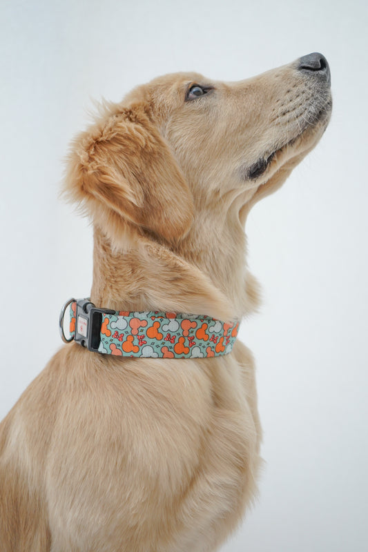 Pawgy Pets Collar Mickey Pastel Green for dogs and cats