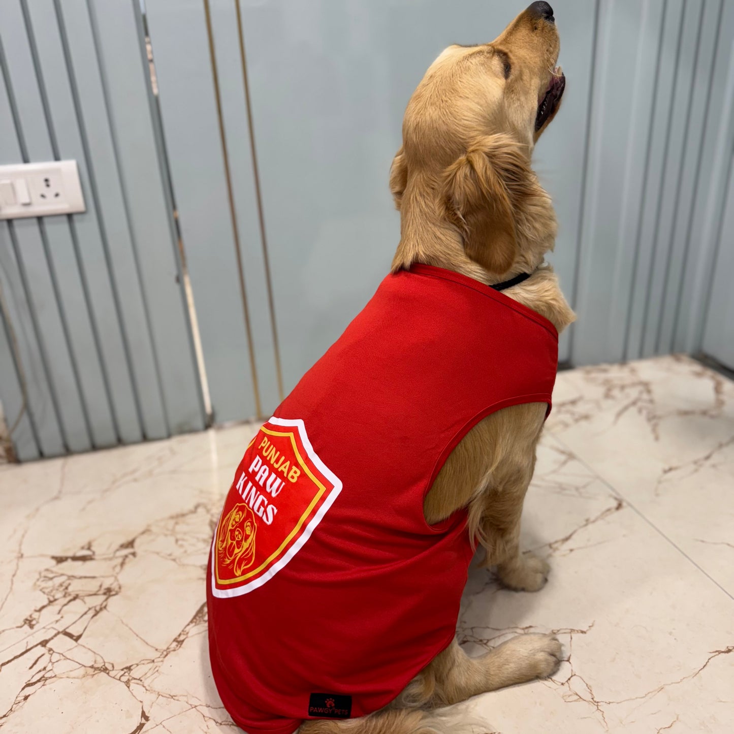 Punjab Paw Kings T-shirt | For Dogs & Cats | Pawgy Pets