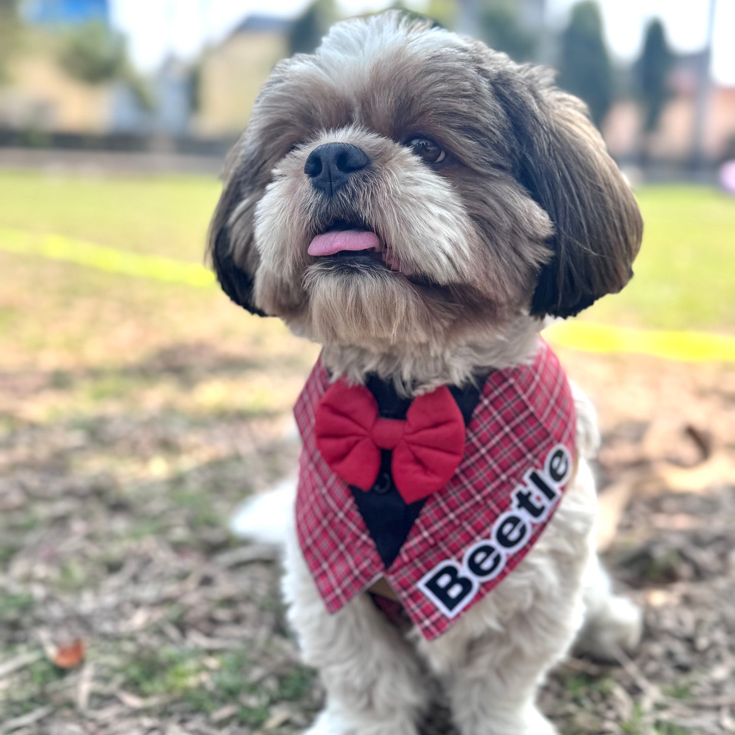 Pawgy Pets Personalised Waistcoat Tuxedo Bandana Red for Dogs & Cats