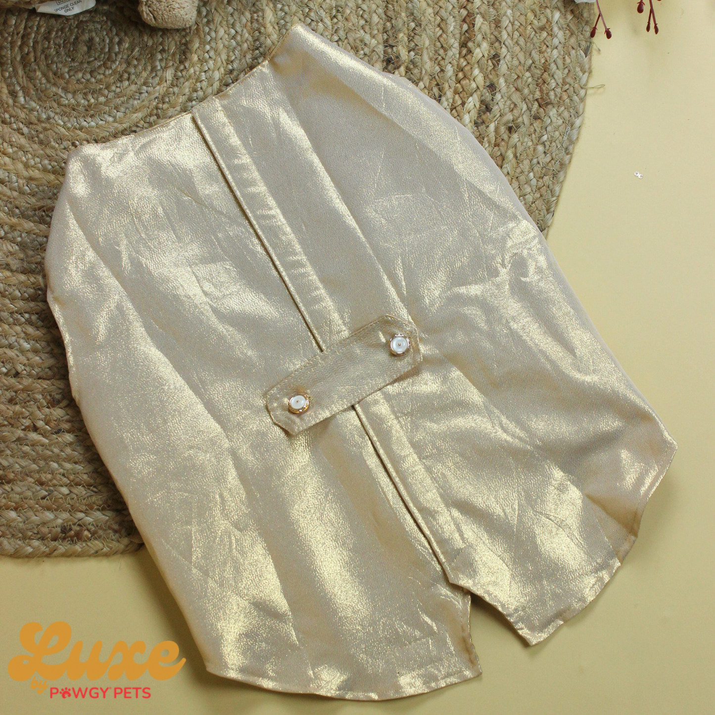 Golden Tuxedo | Luxe Collection | Pawgy Pets