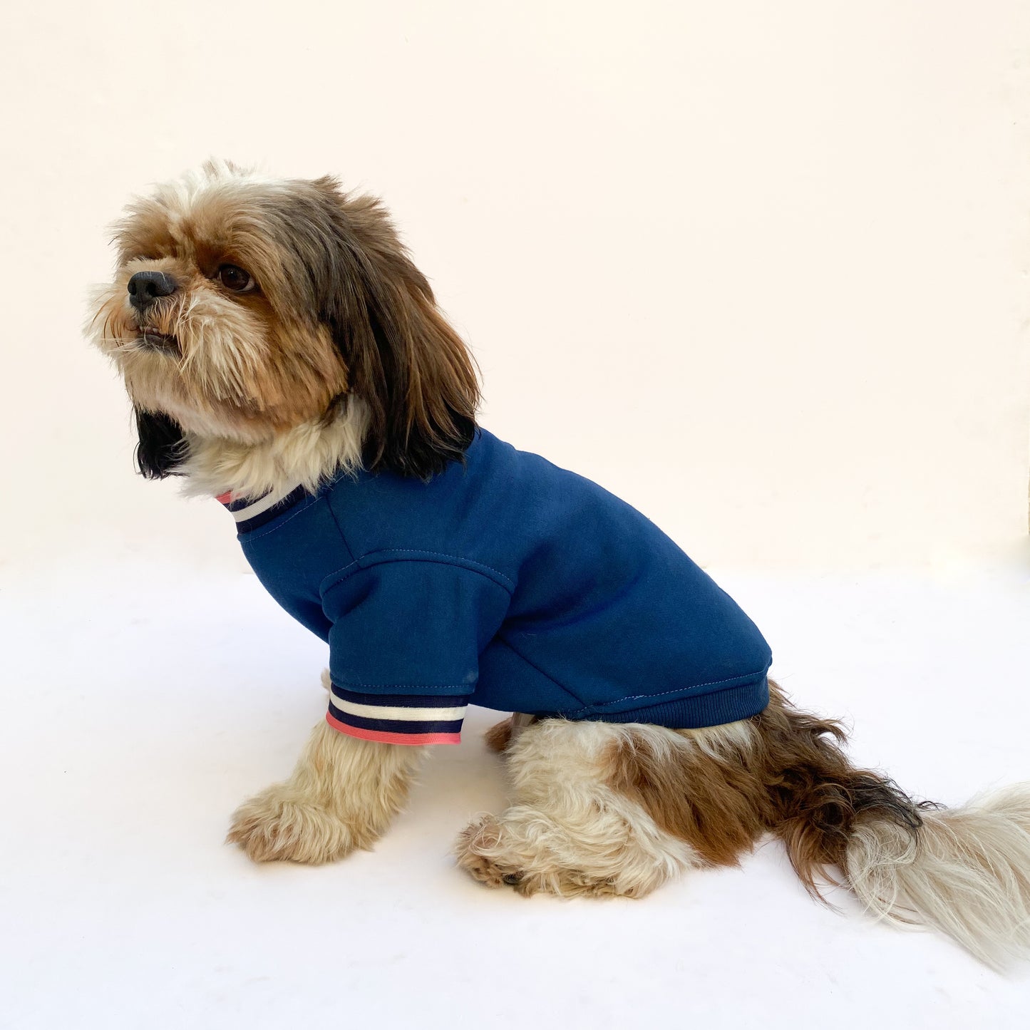 Candy Blue Sweatshirt | For Dogs & Cats | Pawgy Pets
