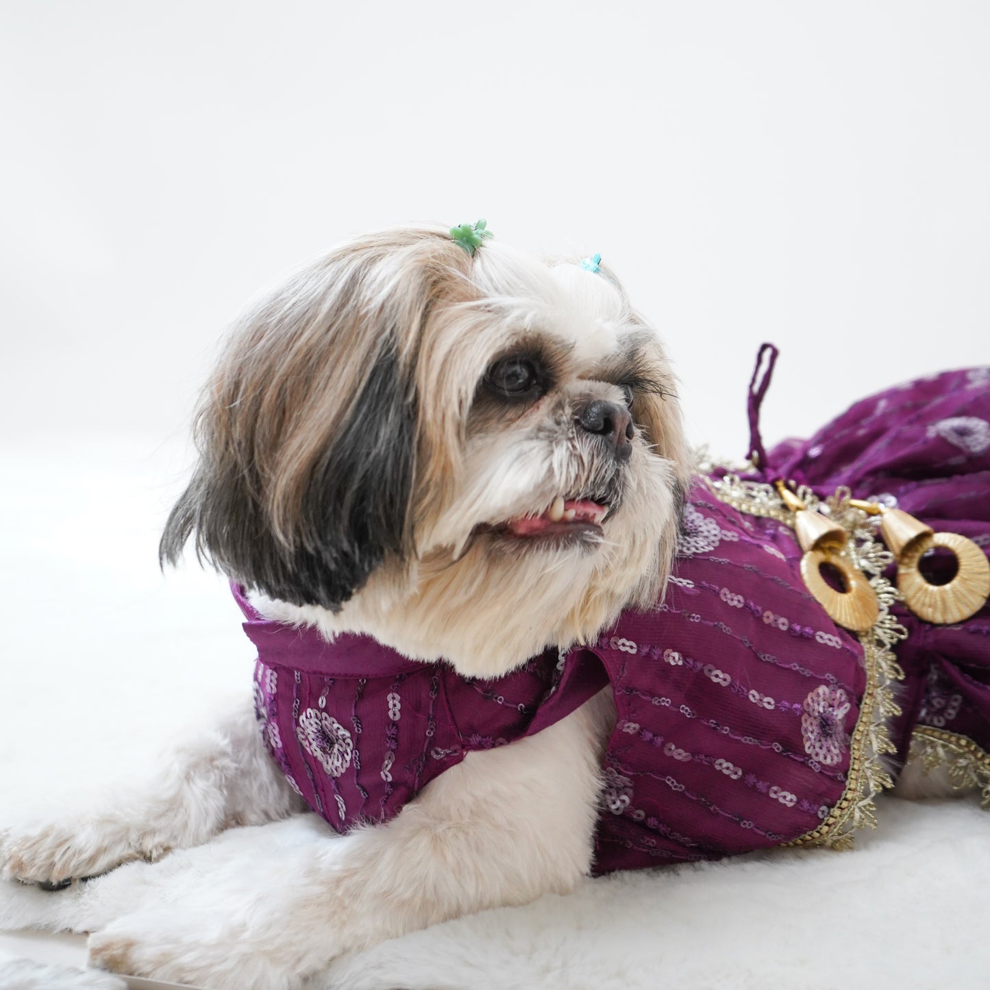 Violet Net Lehenga | For Dogs | Pawgy Pets