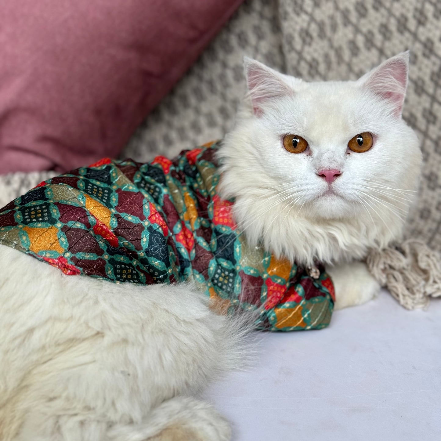 Multi Colour Silk Kurta | For Cats | Pawgy Pets