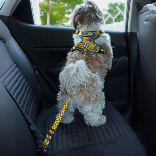 Pawgy Pets Car Leash Watermelon Yellow for Dogs and Cats