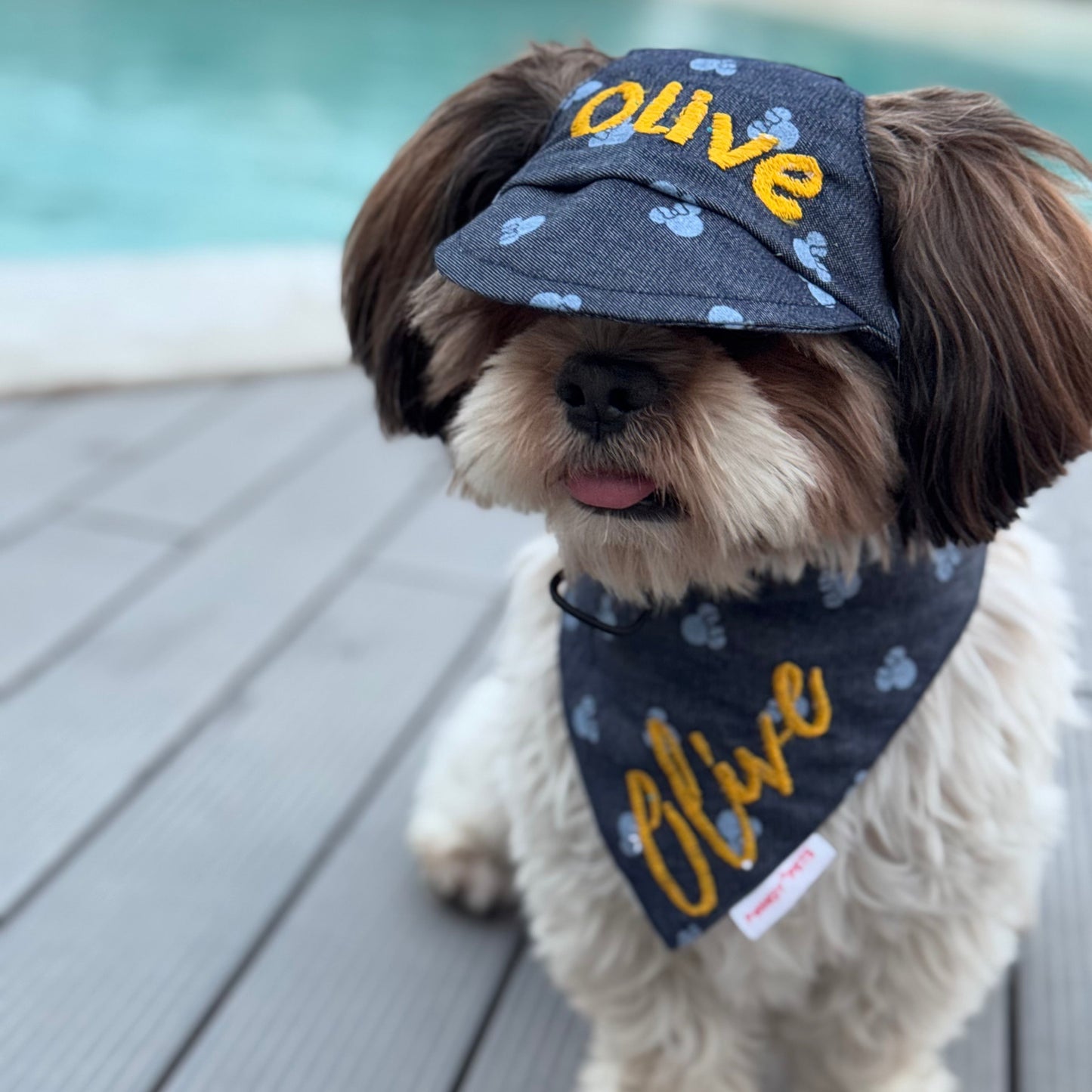 Pawgy Pets Personalised Dog Cap and Bandana: Denim Minnie for Dogs & Cats
