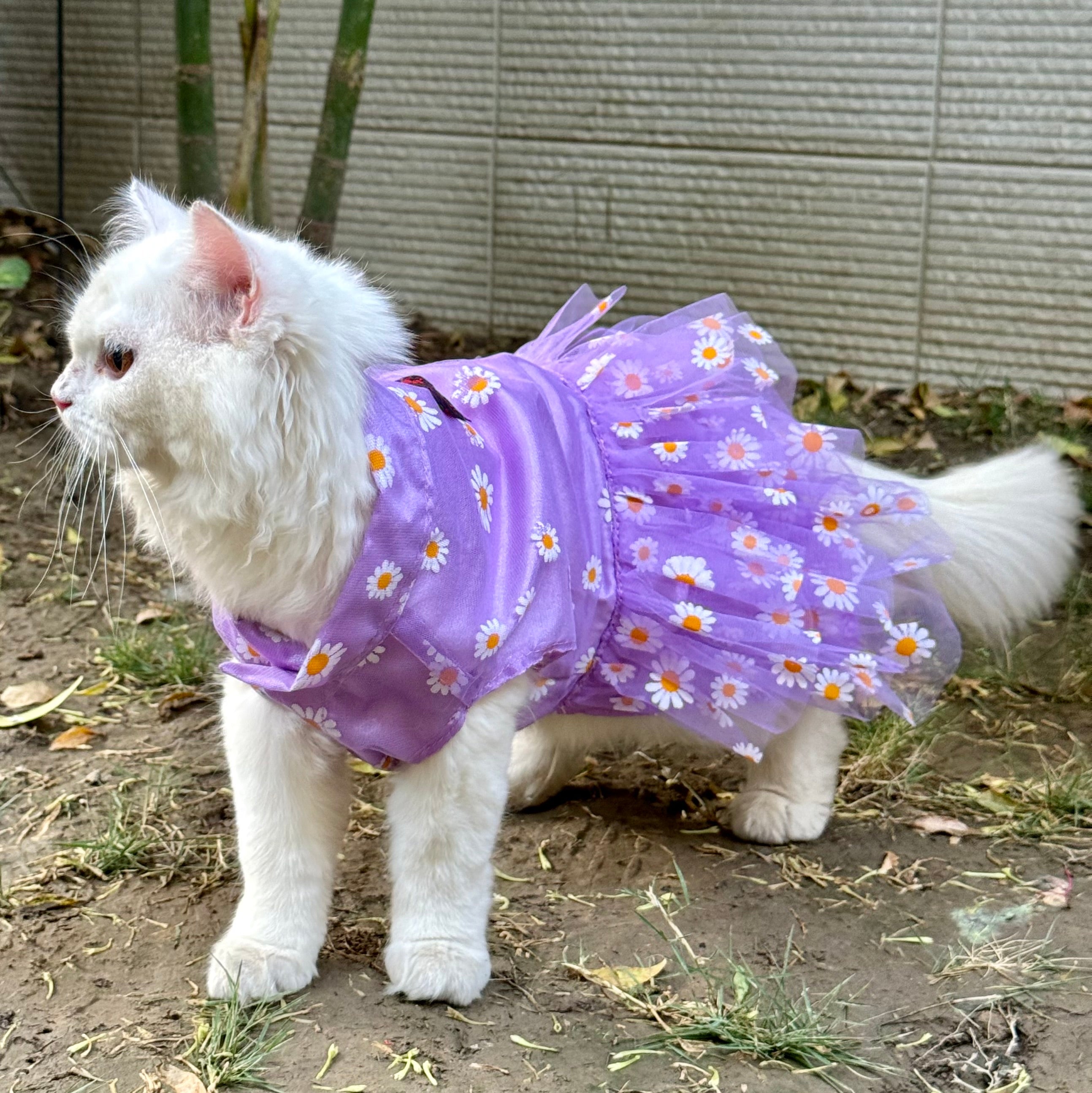 Cat Clothing Pawgy Pets Frilly dress Purple (Cat)