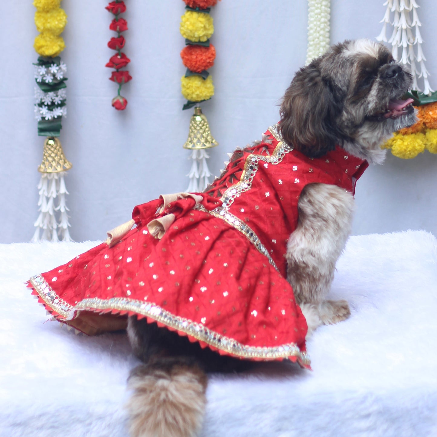 Red Shahi Lehenga Dress | For Dogs | Pawgy Pets